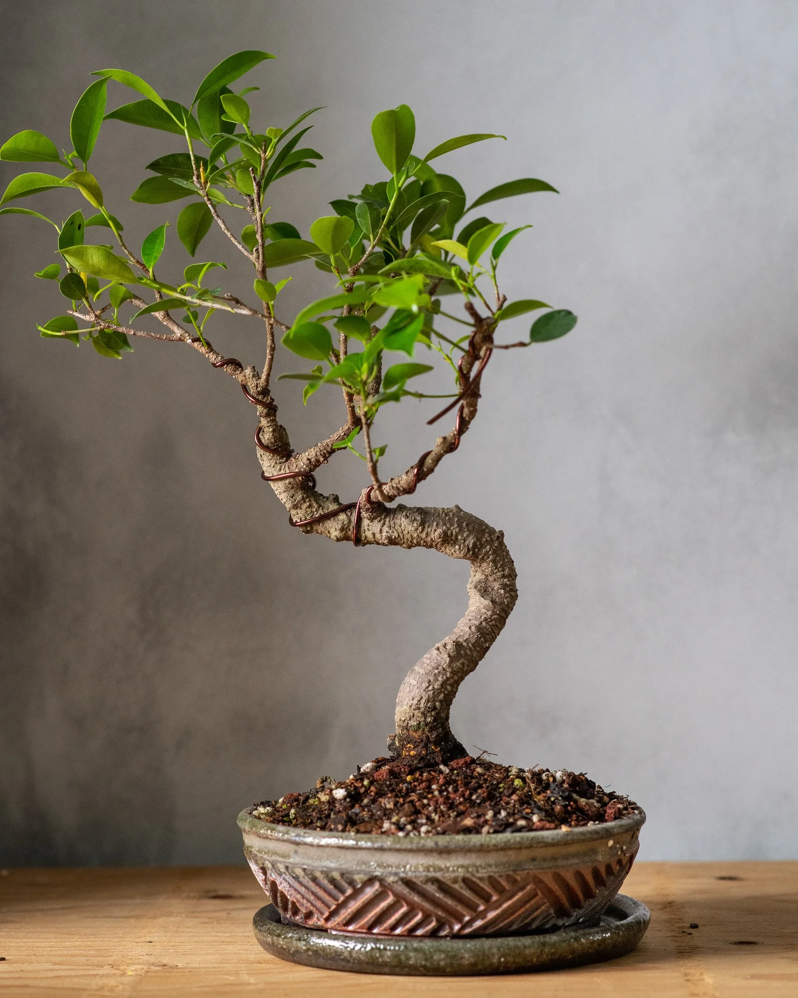 GALLERY — KB ClayCraft